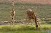 Immobilie zum Verkauf in Südafrika - Natur pur