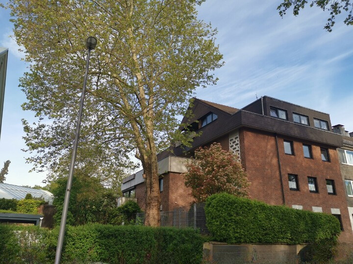 3-Zimmer-Wohnung mit 84 m² Terrasse/Balkon - Grundriss